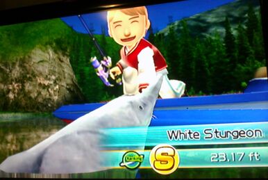 HonestGamers - Fishing Resort (Wii)
