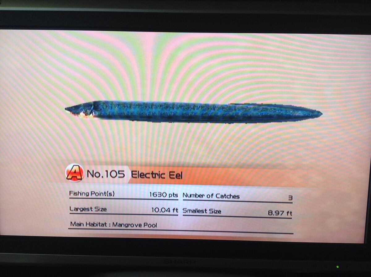 Electric Eel | Wii Fishing Resort Wiki | Fandom