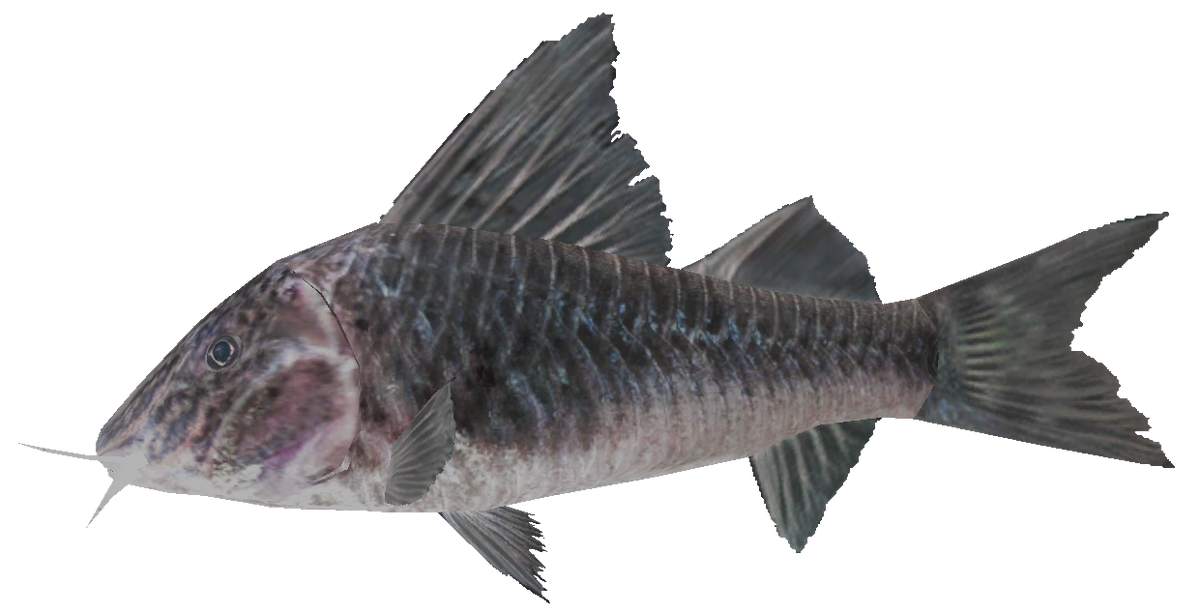 Armored Catfish, Wii Fishing Resort Wiki