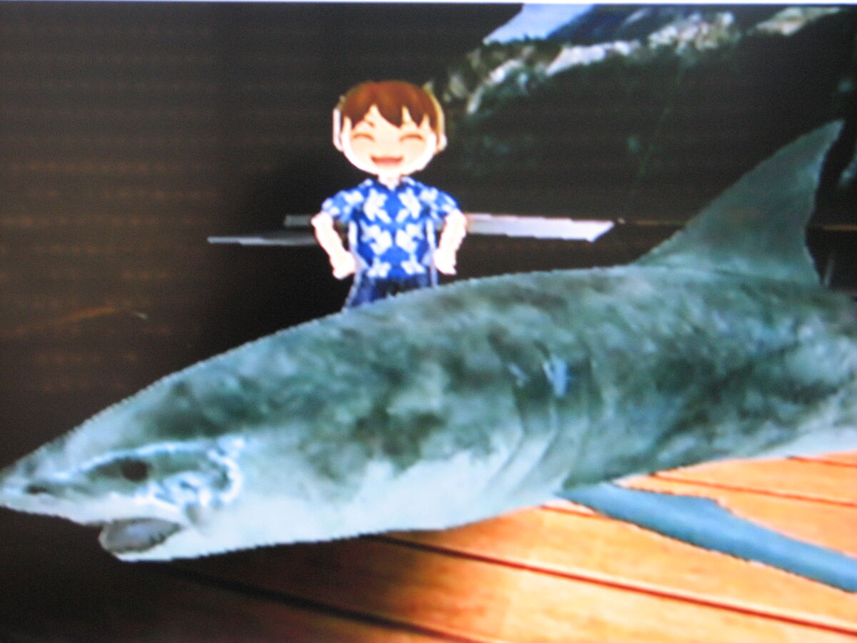 Great White Shark, Wii Fishing Resort Wiki