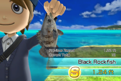 Let's Play: Fishing Resort Wii, Climatius 