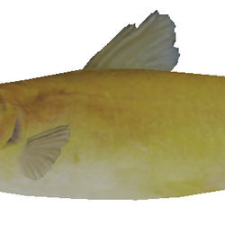 Category:Dua Ribu Lake, Wii Fishing Resort Wiki
