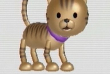 Wii on sale fit dog