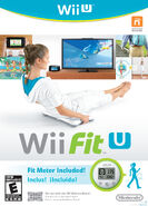 Wii Fit.