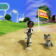 Wii fit dog clearance