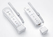 Two Wii Remotes with the Wii MotionPlus.