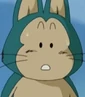 Puar DBZK