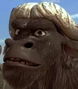 Chino el Bufalo en Animals United