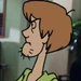 Shaggy LTBA