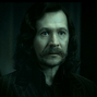 Sirius Black en la Franquicia de Harry Potter.