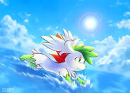 Shaymin over the sea