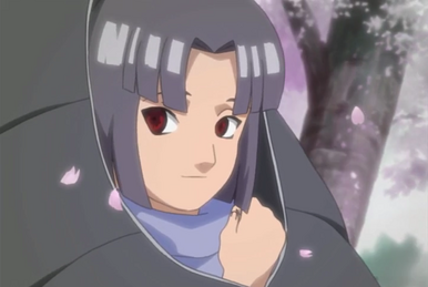 Naruto Shippuden - Episodio 236 - Um Companheiro Verdadeiro Online -  Animezeira