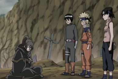 Naruto Shippuden - Episodio 236 - Um Companheiro Verdadeiro Online -  Animezeira