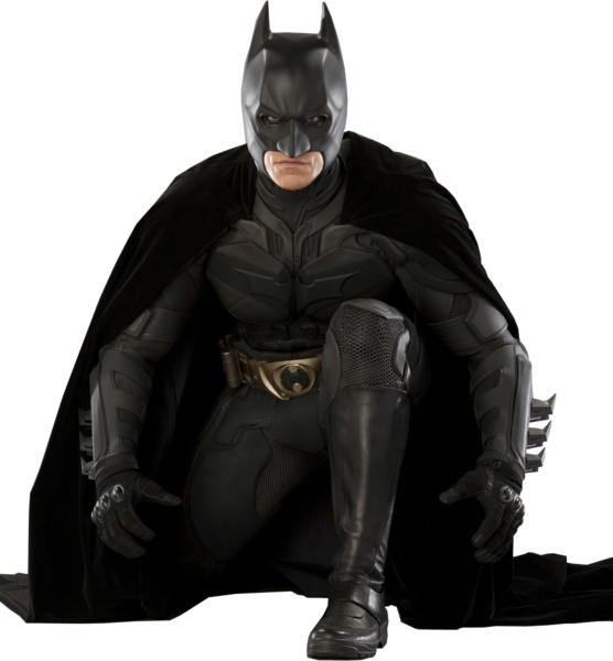 Batman (Earth-69420) | Wiki of Right Wikia | Fandom