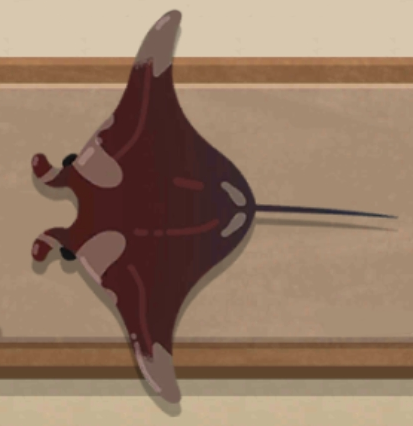 Manta Ray | Wiki The Fishercat Wiki | Fandom