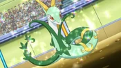 Trip Serperior
