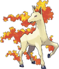 Rapidash.png