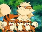 Arcanine w-Pups