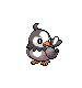 Starly(P)SpriteMale.png