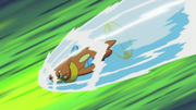 Buizel Aqua Jet