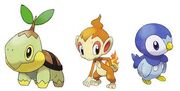 New dp starters