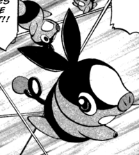 Black's Tepig in the Pokémon Adventures Manga