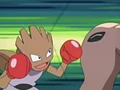 Hitmonchan using Comet Punch.