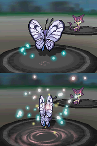 Butterfly Dance.png