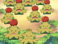 Pokemon Advanced Challenge Azurilland Wiki