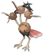 Dodrio