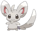 #572 Minccino Normal