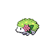 DP Shaymin