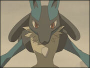 Lucario01LMM