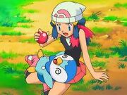 Dawn w piplup