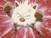 Ash Primeape