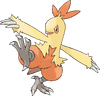256Combusken.png