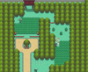 Johto Route 37