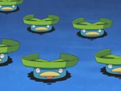 Lotad (anime)