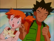 Brock Misty ear