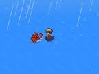 Lake of rage