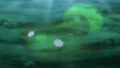 Cilan's Stunfisk using Camoflauge