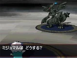 Zekrom Battle