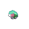 Shaymin Shiny Land BW