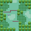 Hoenn Route 101