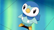 Dawn Piplup