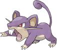 019Rattata