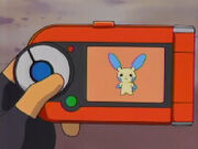 Minun in pokedex