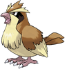 016Pidgey