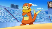 Ash's Buizel