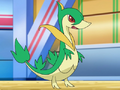 Serperior's 1st appearance as a Servine